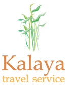 Partner Logo