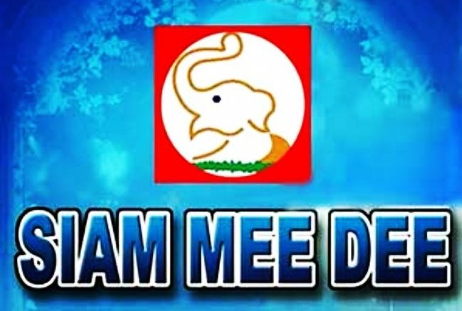 Partner Logo